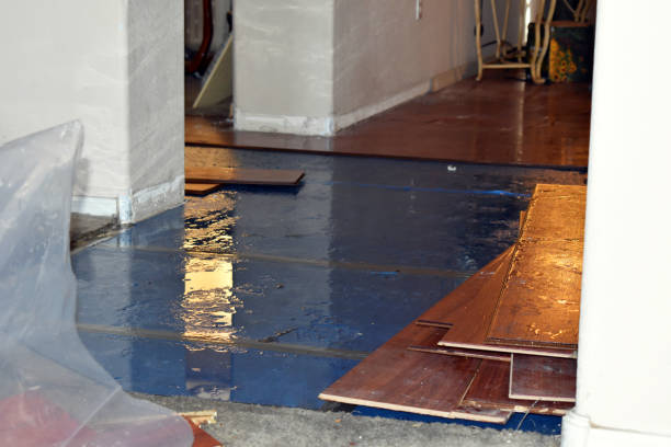 Professional Flood Cleanup technician working in Fellows, CA